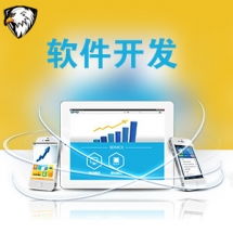 一品威客网软件外包服务报价与收费解析 专业、透明、高性价比的开发选择